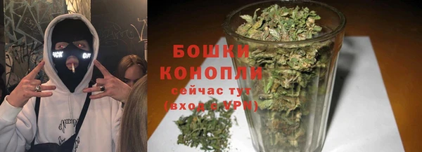 твердый Нея