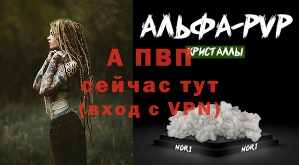 твердый Нея