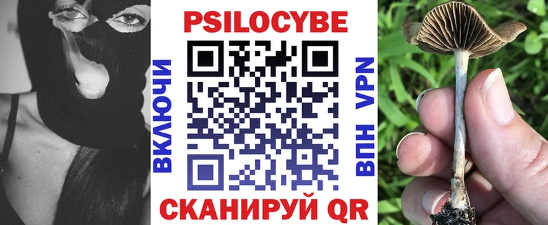 даркнет состав  Кудрово  Псилоцибиновые грибы Magic Shrooms 