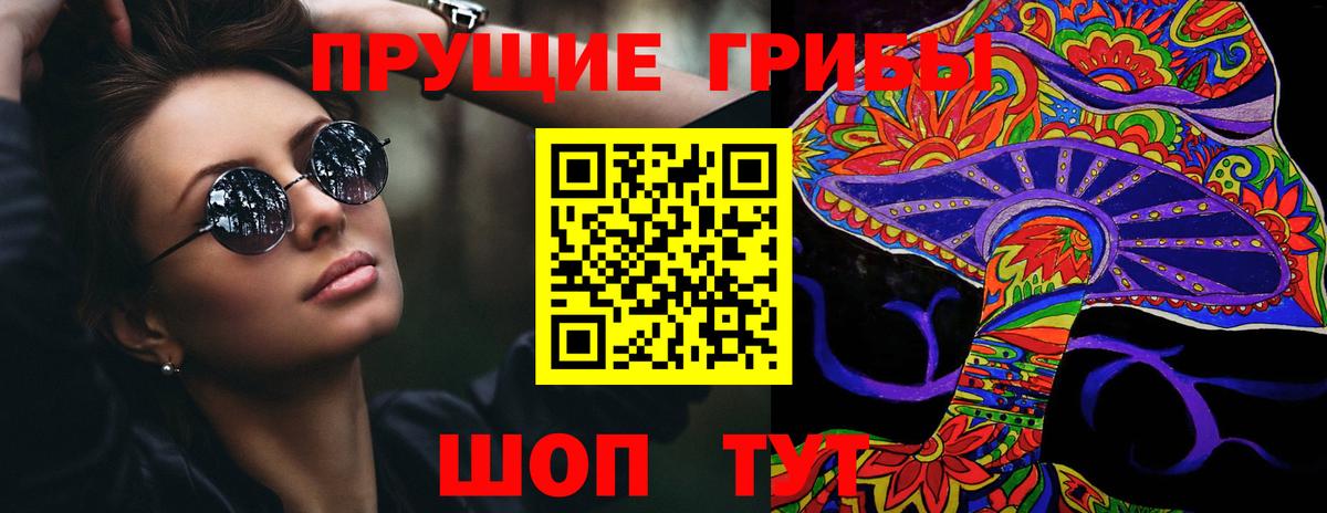 Псилоцибиновые грибы мицелий Кудрово